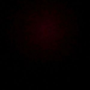 Meet your Posher, Alika